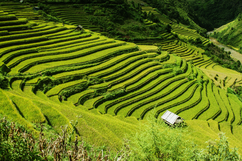 From Hanoi: 2-Day Sapa Cultural Exchange Tour with Homestay Share Room and Meeting Point Pickup