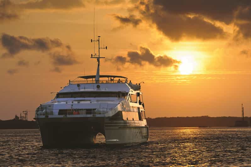 Bali Benoa: Sunset Buffet Cruise with Show and Live Music