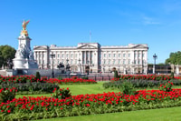 Royal London Tour incl Buckingham Palace & Changing of Guard - Housity