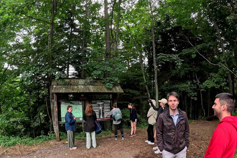 From Sarajevo: Trnovačko Lake Guided Hike with Transfer