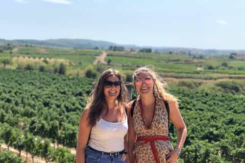 From Barcelona: Vineyard Wine Tasting and Sitges Town Tour