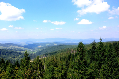 Van Krakau: Slowakije Treetop Walk en Zakopane TourVan Krakau: Slowakije Treetop Walk en Zakopane Private Tour