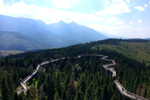 Van Krakau: Slowakije Treetop Walk en Zakopane TourVan Krakau: Slowakije Treetop Walk en Zakopane Private Tour