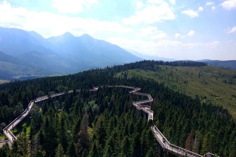 Van Krakau: Slowakije Treetop Walk en Zakopane TourVan Krakau: Slowakije Treetop Walk en Zakopane Private Tour