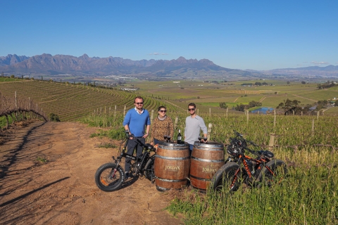 Ab Kapstadt: E-Bike Tour durch die Winelands