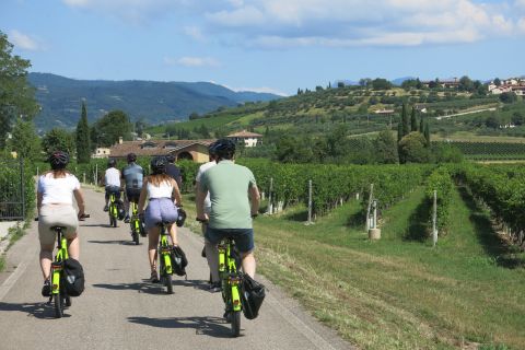 Верона: винный тур по Вальполичелле с самостоятельным управлением на электронном велосипеде и дегустации