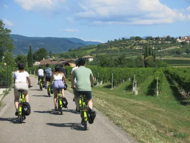 Verona: E-Bike-Tour zum Valpolicella-Wein & Verkostungen