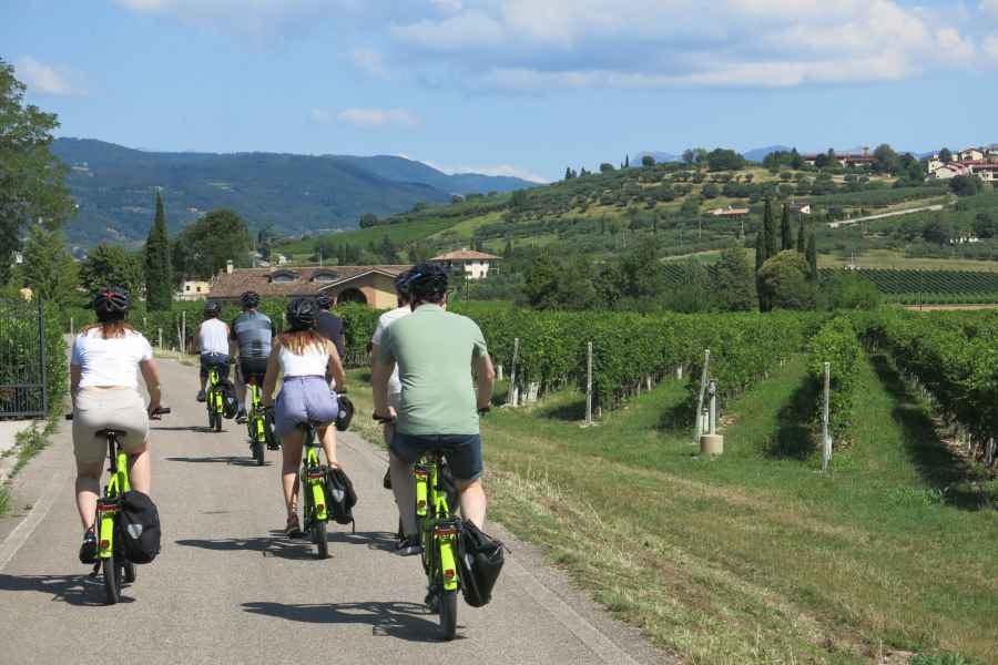 Verona: E-Bike-Tour zum Valpolicella-Wein & Verkostungen