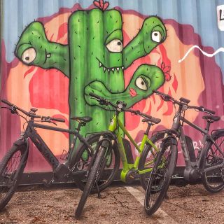 Austin: Electric Bike City Sightseeing Tour