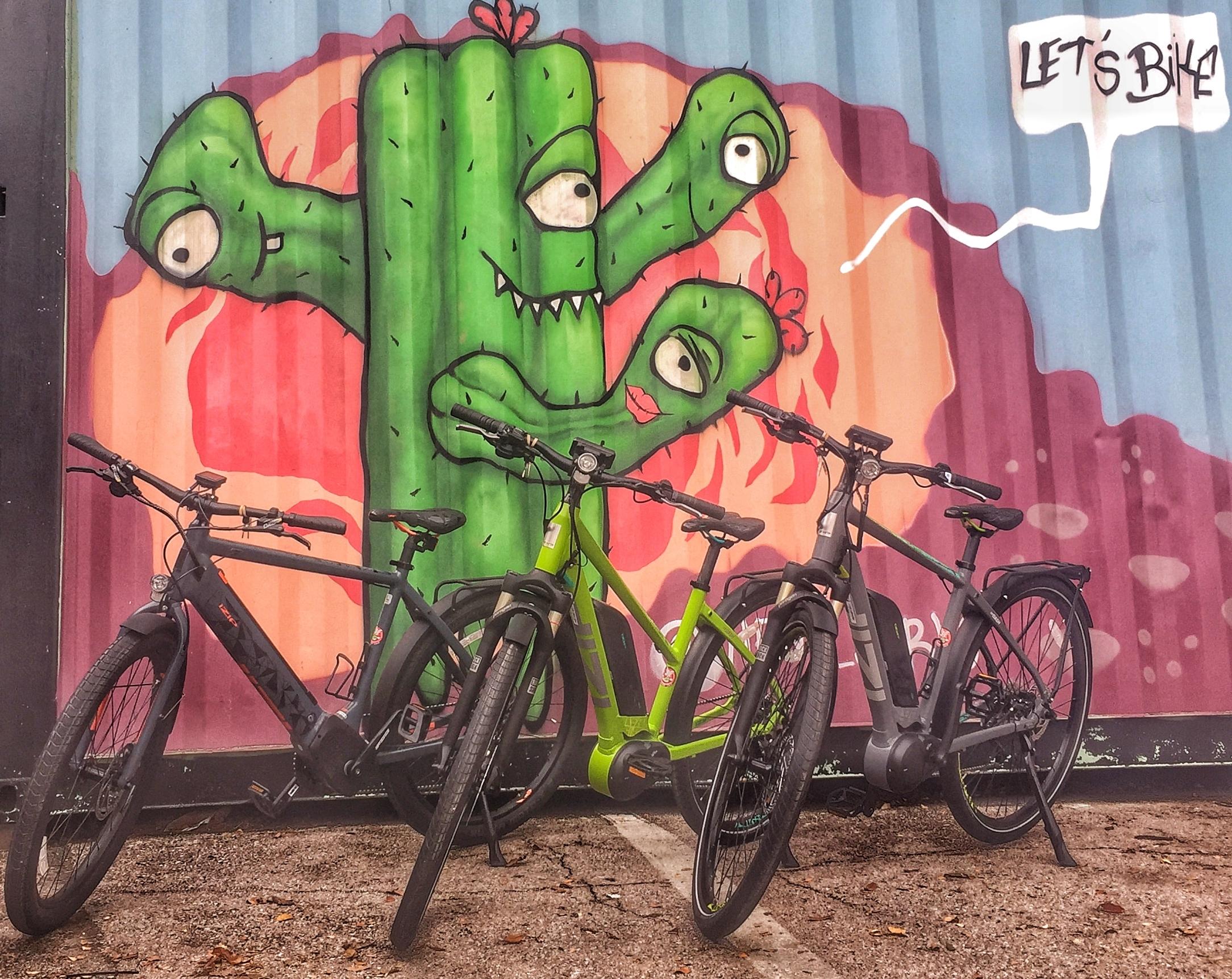Austin: Sightseeingtour mit dem Elektrofahrrad