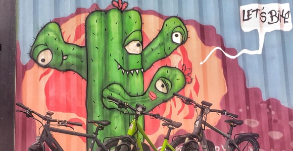 Austin: Sightseeingtour mit dem Elektrofahrrad