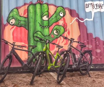 Austin: Electric Bike City Sightseeing Tour