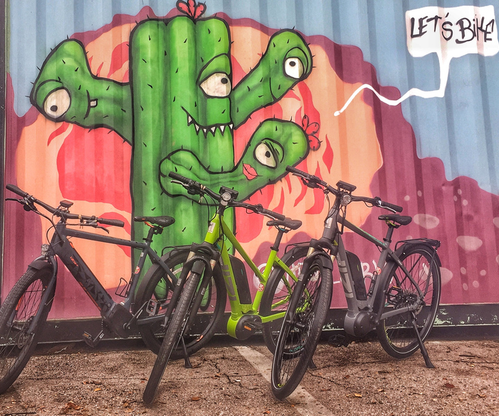 Austin: giro turistico della città in bici elettrica