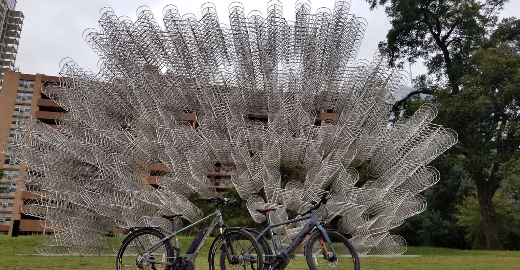 Austin: Electric Bike City Sightseeing Tour photo 5