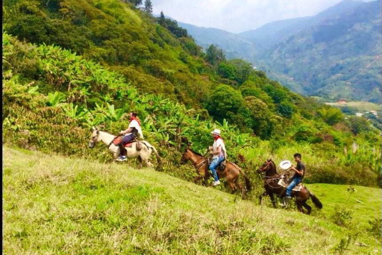 Medellín: Authentic Colombian Horseback Ride Authentic Colombian Horseback Ride & Park Lleras Pickup
