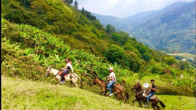 medellín authentic colombian horseback ride