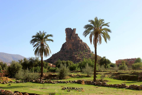 Agadir : excursion 1 jour à Tafraout dans l'Anti-Atlas