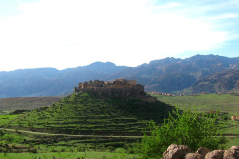 Ab Agadir: Tagestour nach Tafraoute im Antiatlas