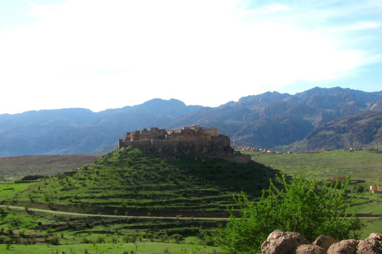 Agadir: Jednodniowa wycieczka do Tafraout w Anti-Atlas