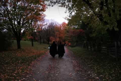 Toronto: Haunted Night Walking Tours