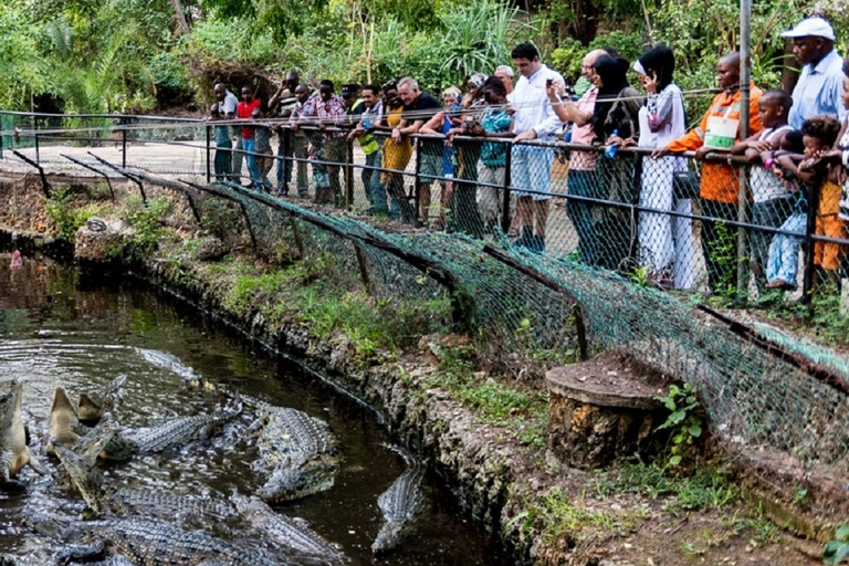 Mombasa: City Tour with Fort Jesus & Haller Park Entrance Tour from Diani