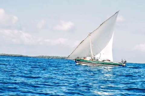 Dhow Tour en velero por el parque marino Kisite y la isla WasiniTour desde Kilifi