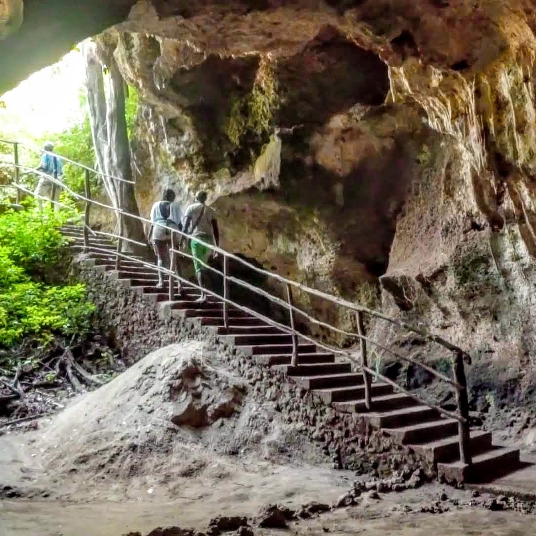 Galería de fotos para redes