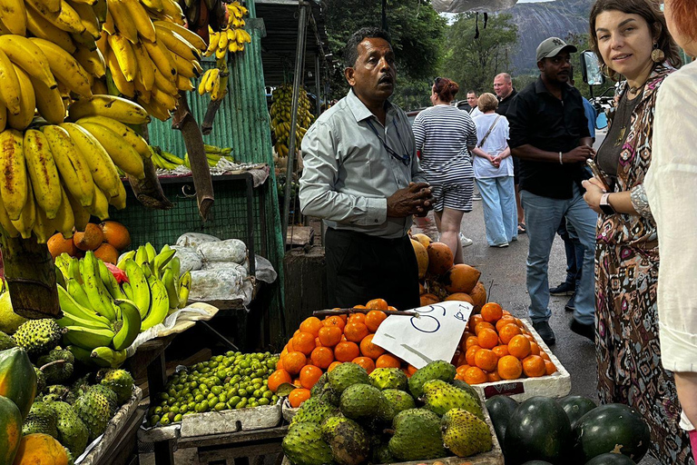 Kandy: Sigiriya, Dambulla och en dagsutflykt på bysafariKandy: Sigiriya, Dambulla, and Village Safari Day Trip