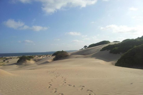 Malindi: Hell’s Kitchen, Robinson Island & Sand Dunes Tour