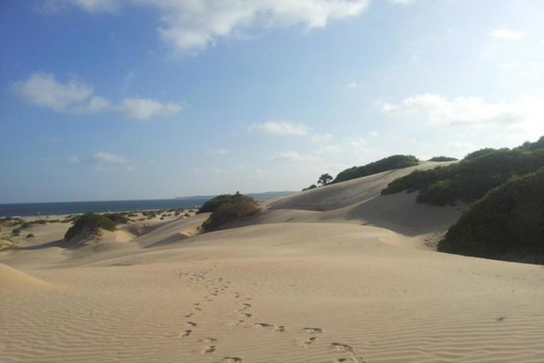 Malindi: Hell’s Kitchen, Robinson Island & Sand Dunes Tour