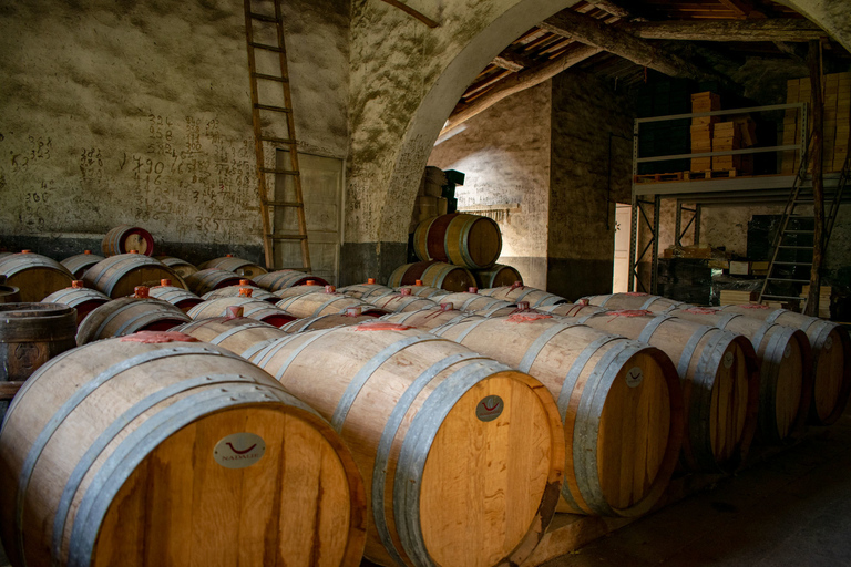 Florence: excursion privée d'une journée dans les vignobles du Chianti en Toscane avec déjeuner