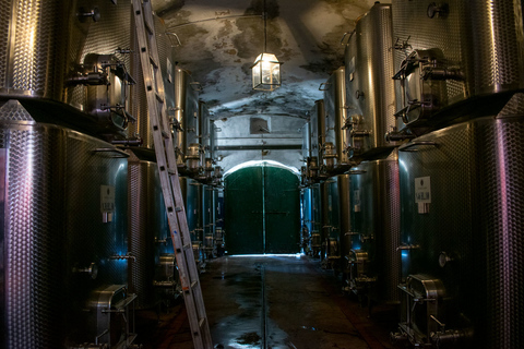 Florence: excursion privée d'une journée dans les vignobles du Chianti en Toscane avec déjeuner