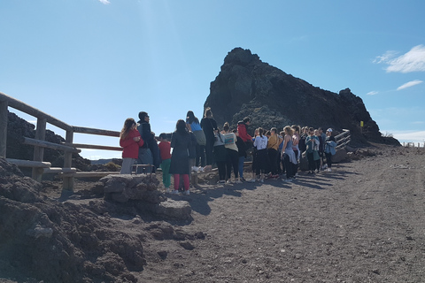 Da Napoli: Escursione di un giorno al Vesuvio con la Guida AlpinaVesuvio: tour da Napoli con guida alpina