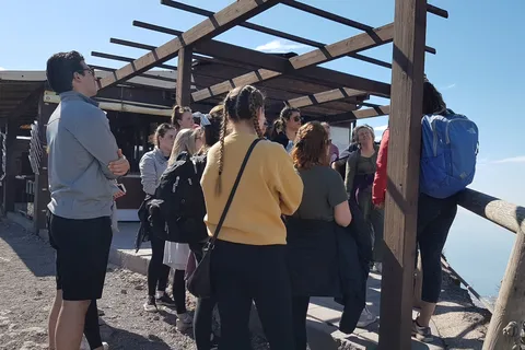 De Nápoles: Viagem de 1 dia ao Monte Vesúvio com o Guia Alpino
