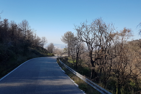 Depuis Naples : excursion au Vésuve