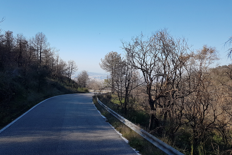 From Naples: Day Trip to Mount Vesuvius with Alpine Guide