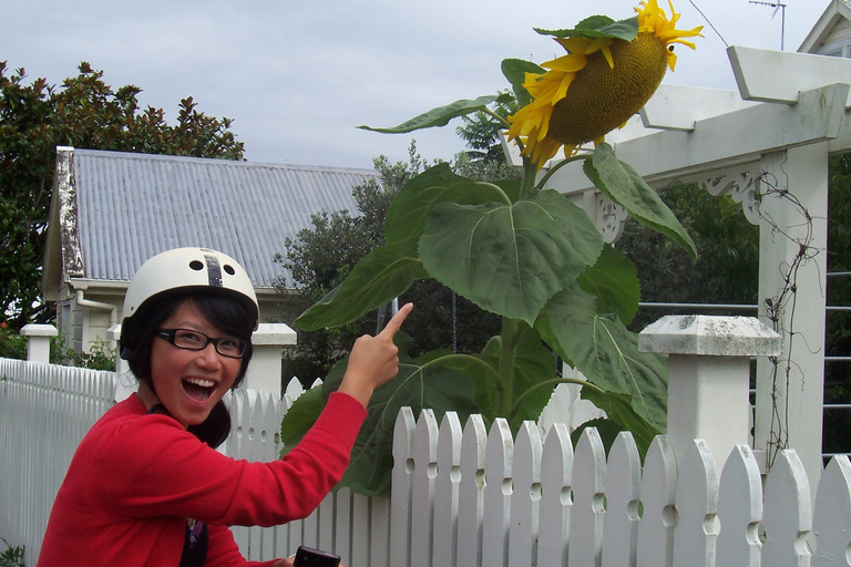 Auckland: Segway-Tour durch das Dorf Devonport