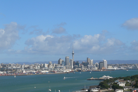 Auckland: tour in Segway del villaggio di Devonport