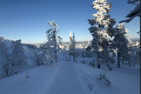 Levi: Private Snowshoe Walk with Tesla Pickup & Drink