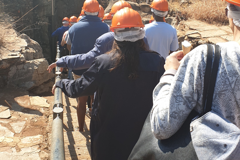 Berceau privé de l'humanité + visite du village culturel de Lesedi