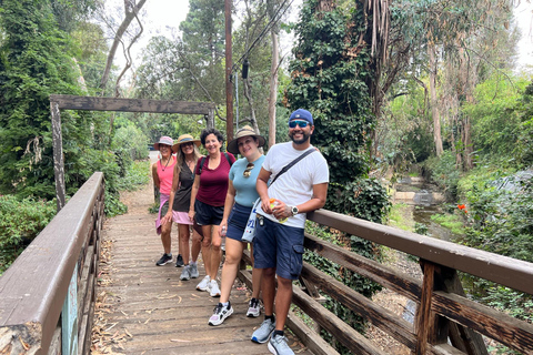 Discover Santa Monica’s Hidden Stairways & Canyon Paths