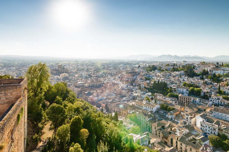 Granada and Albaicín: Historical Private Tour