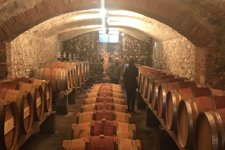 Florence: excursion privée d'une journée dans les vignobles du Chianti en Toscane avec déjeuner