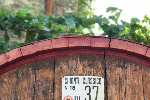 Florence: excursion privée d'une journée dans les vignobles du Chianti en Toscane avec déjeuner