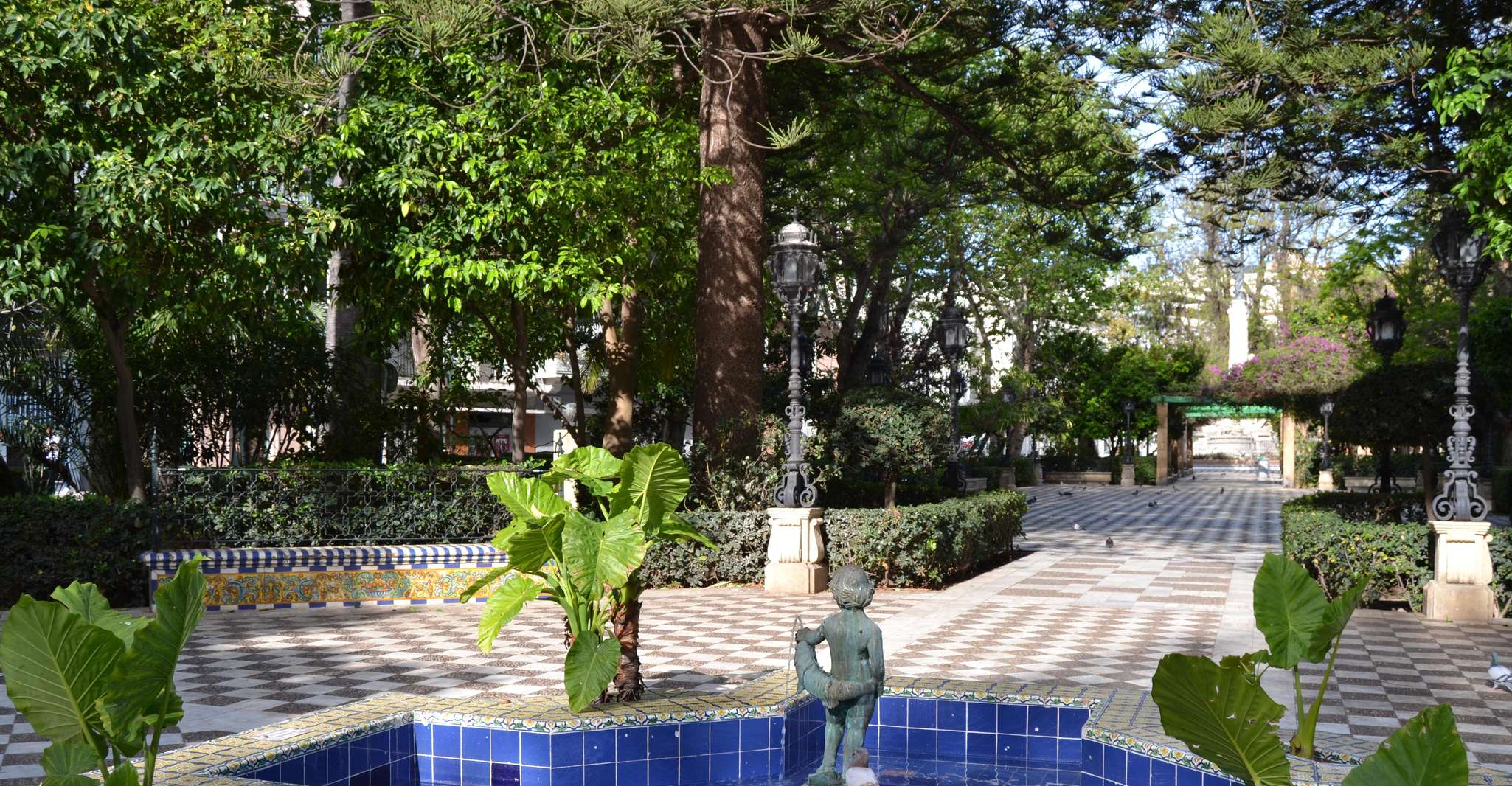 French Guided Tour of Cadiz with a Local Guide photo 8