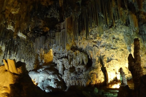 Depuis Grenade : Costa Tropical et grottes de NerjaOption standard