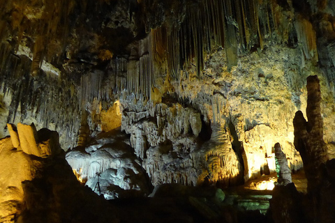 Excursão de um dia à costa tropical e às cavernas de Nerja saindo de Granada