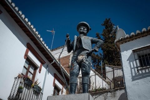 Granada Albaicín: visite à pied de 2,5 heures de tapas et de boissons