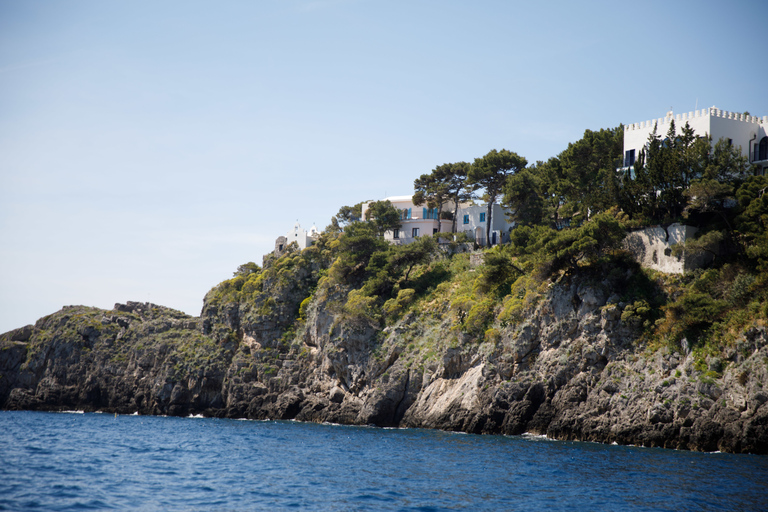 Positano: Wycieczka łodzią po wybrzeżu Amalfi z wizytą w wiosce rybackiej