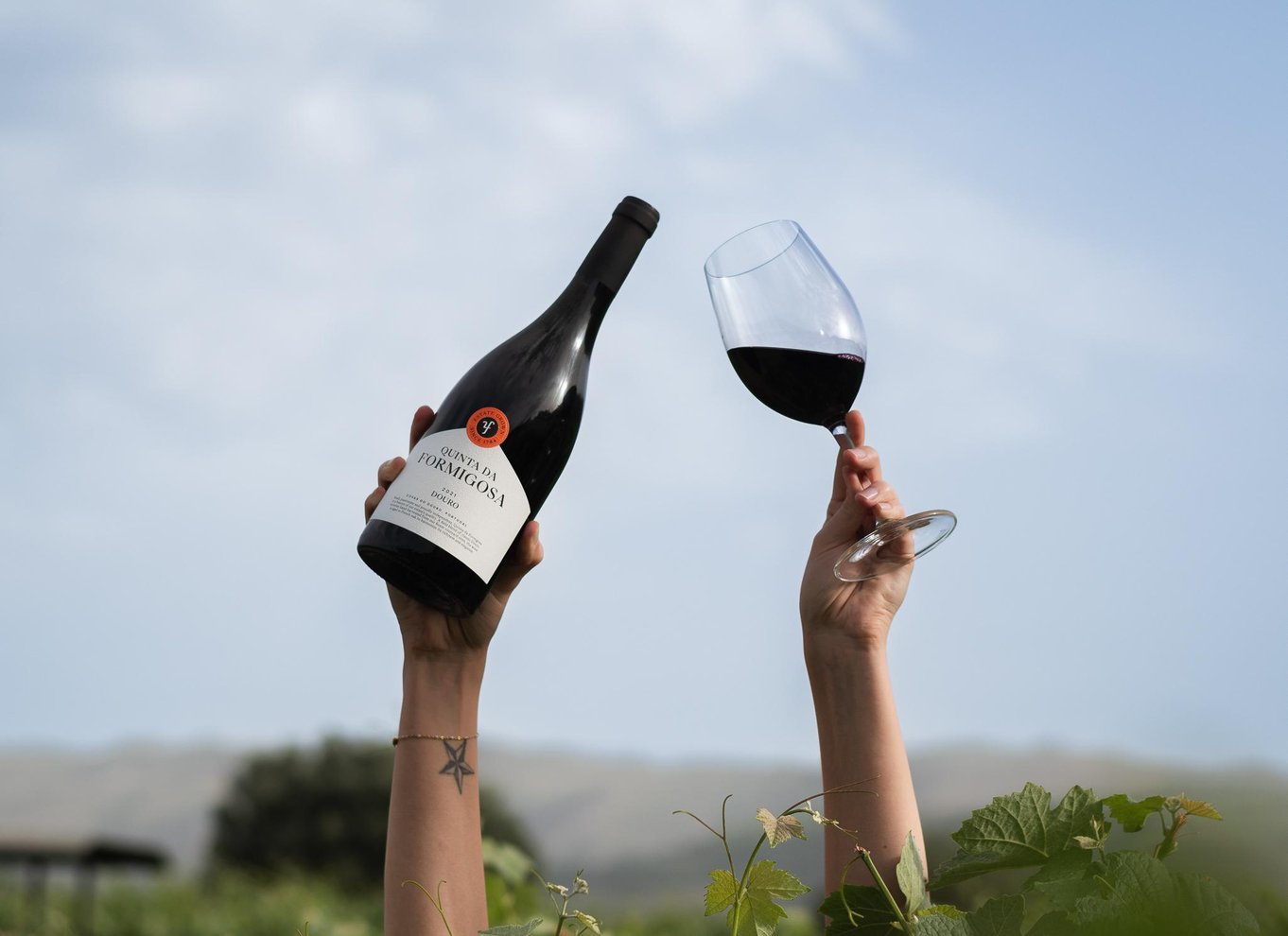 Pinhão: Quinta da Formigosa vingårdstur og vinprøvesmagning